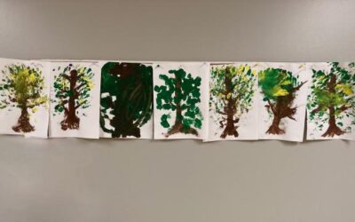 Glimpse Into A Classroom: PK1 – Trees