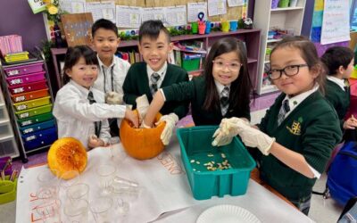 Glimpse Into TWO classrooms: Pumpkins – JK1 & Grade 2B