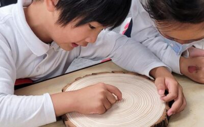 Glimpse Into A Classroom: SK1 – Dendrochronology & Timelines